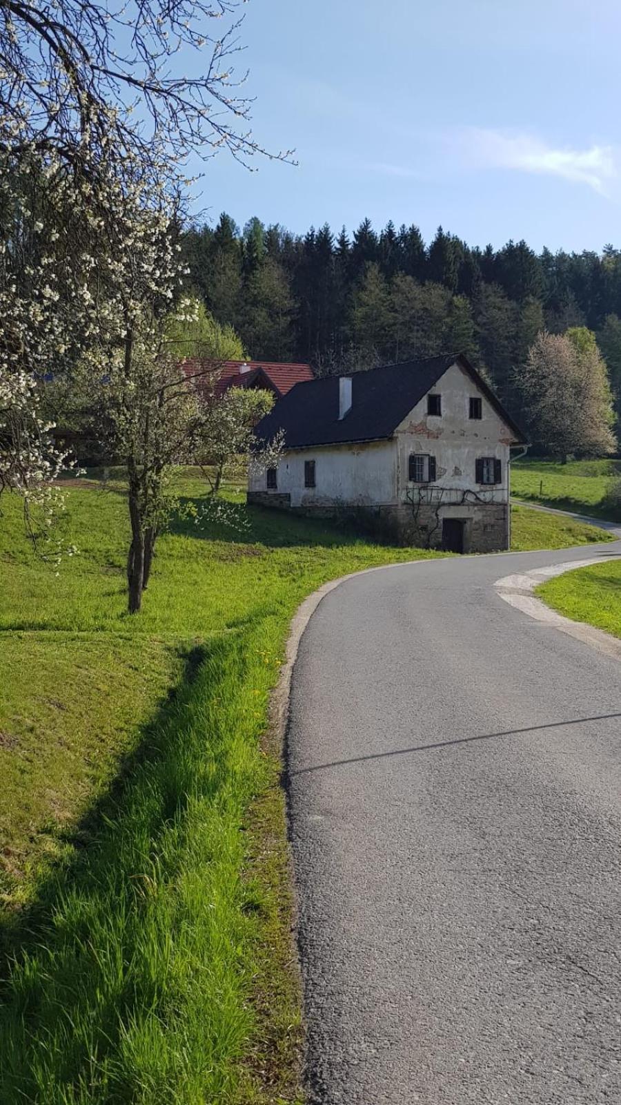 Vila Presshaus Alte Muehle Stainz Exteriér fotografie