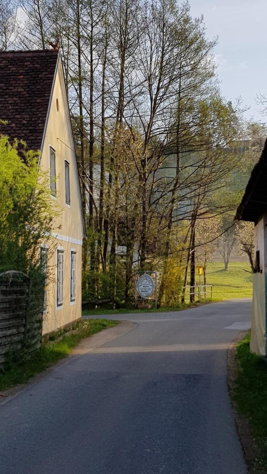 Vila Presshaus Alte Muehle Stainz Exteriér fotografie