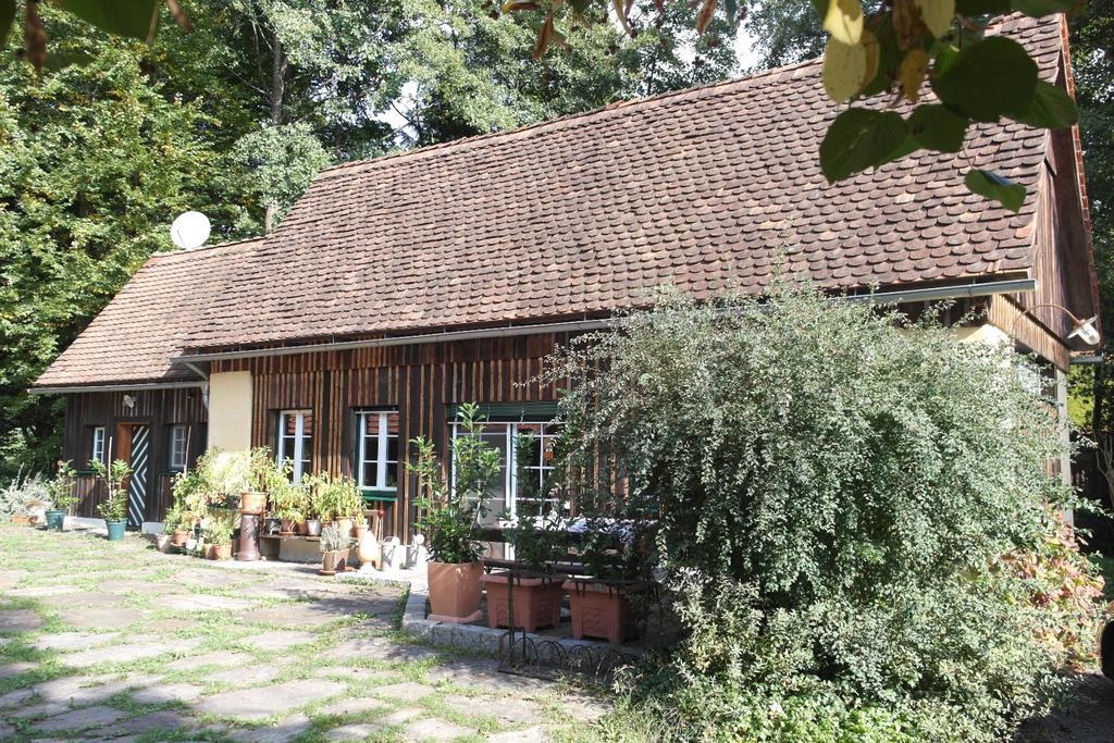 Vila Presshaus Alte Muehle Stainz Exteriér fotografie